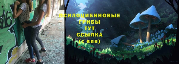 шишки Армянск