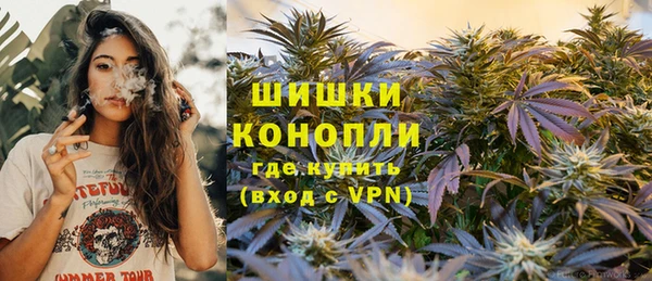 шишки Армянск