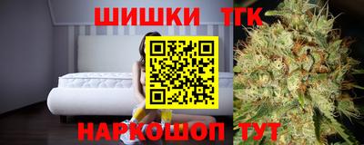 стаф Берёзовский