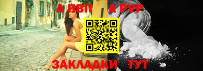 стаф Берёзовский