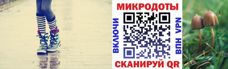 Псилоцибиновые грибы Psilocybe  где можно купить   Верхняя Салда 