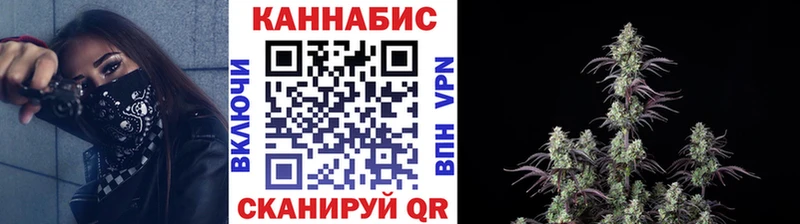 Шишки марихуана план  купить наркотик  Верхняя Салда 